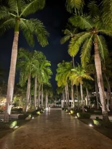 Palm trees in the grounds between the lobby and resort at Jewel Palm Beach Punta Cana Dominican Republic